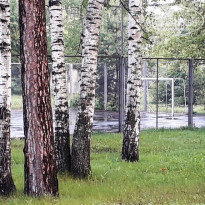 фото из отзыва ID 2187026