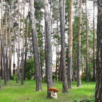 фото из отзыва ID 2187026