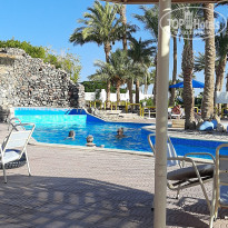 фото из отзыва ID 2187019