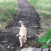 фото из отзыва ID 2187026