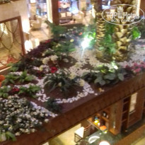 фото из отзыва ID 2187082