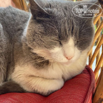 фото из отзыва ID 2187095