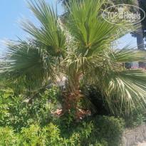 фото из отзыва ID 2187196