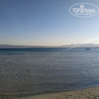 фото из отзыва ID 2186616