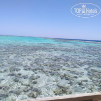 фото из отзыва ID 2186616