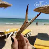 фото из отзыва ID 2187231