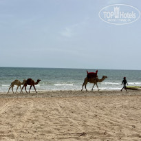 фото из отзыва ID 2187231