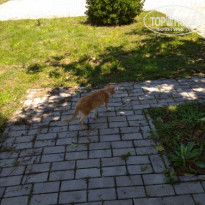 фото из отзыва ID 2187281