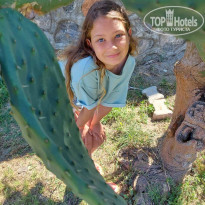 фото из отзыва ID 2187339