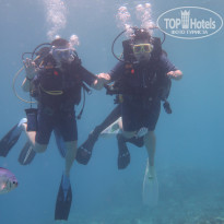 фото из отзыва ID 2187372