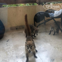 фото из отзыва ID 2187442