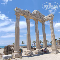 фото из отзыва ID 2187475