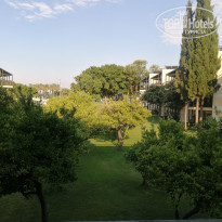 фото из отзыва ID 2187545