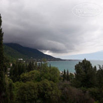 фото из отзыва ID 2187619