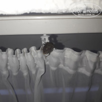 фото из отзыва ID 2187619