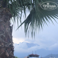 фото из отзыва ID 2187634