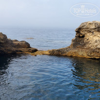 фото из отзыва ID 2187674