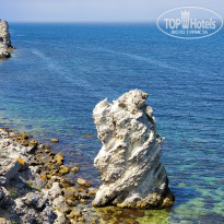 фото из отзыва ID 2187674