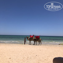 фото из отзыва ID 2187769