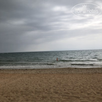 фото из отзыва ID 2187769