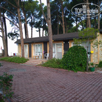 фото из отзыва ID 2187824