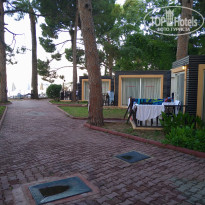 фото из отзыва ID 2187824