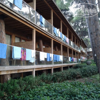 фото из отзыва ID 2187824