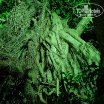 фото из отзыва ID 2187877