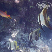 фото из отзыва ID 2187886