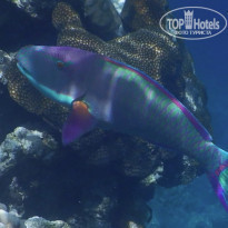 фото из отзыва ID 2187886