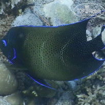 фото из отзыва ID 2187886