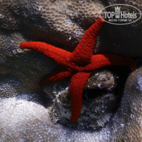 фото из отзыва ID 2187886