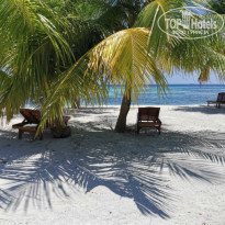 фото из отзыва ID 2187886