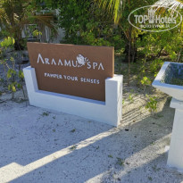 фото из отзыва ID 2187886