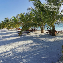 фото из отзыва ID 2187886