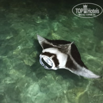 фото из отзыва ID 2187886