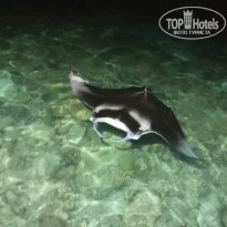 фото из отзыва ID 2187886