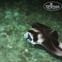 фото из отзыва ID 2187886