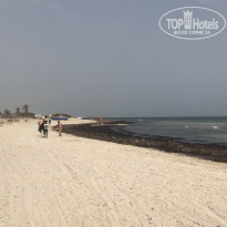 фото из отзыва ID 2187879