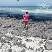 фото из отзыва ID 2187879