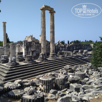 фото из отзыва ID 2187824