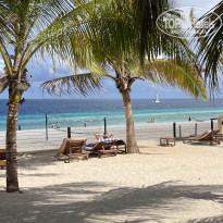 фото из отзыва ID 2188049