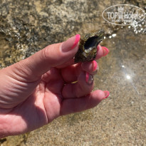 фото из отзыва ID 2188046