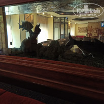 фото из отзыва ID 2188152