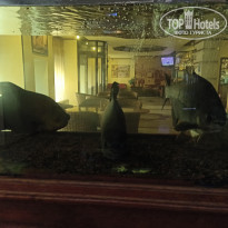 фото из отзыва ID 2188152