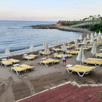 фото из отзыва ID 2188158