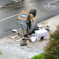 фото из отзыва ID 2188192