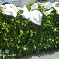 фото из отзыва ID 2188192