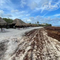 фото из отзыва ID 2188280