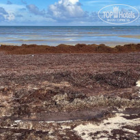 фото из отзыва ID 2188280